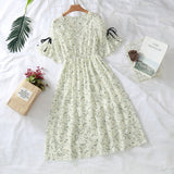 Women's Chiffon Dresses